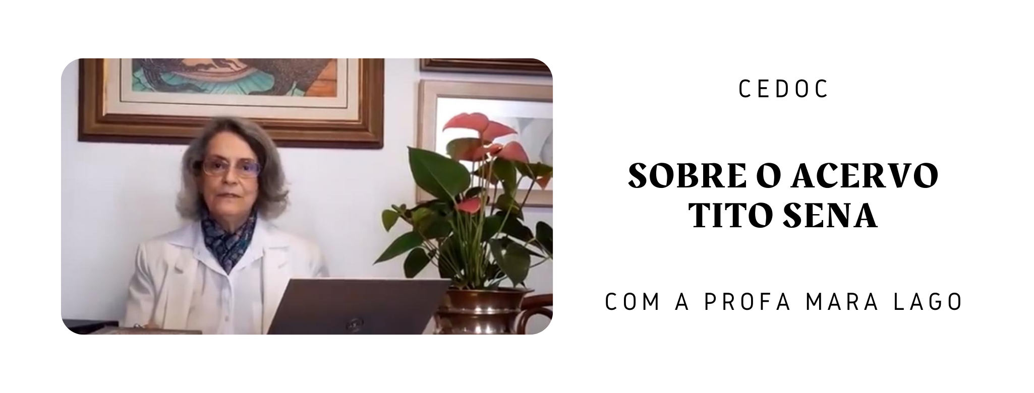 Conversa com a Professora Mara Lago