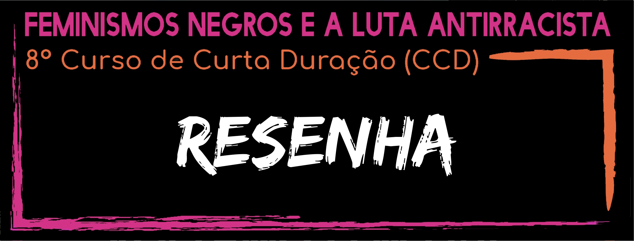 RESENHA: Feminismos Negros na Améfrica Ladina