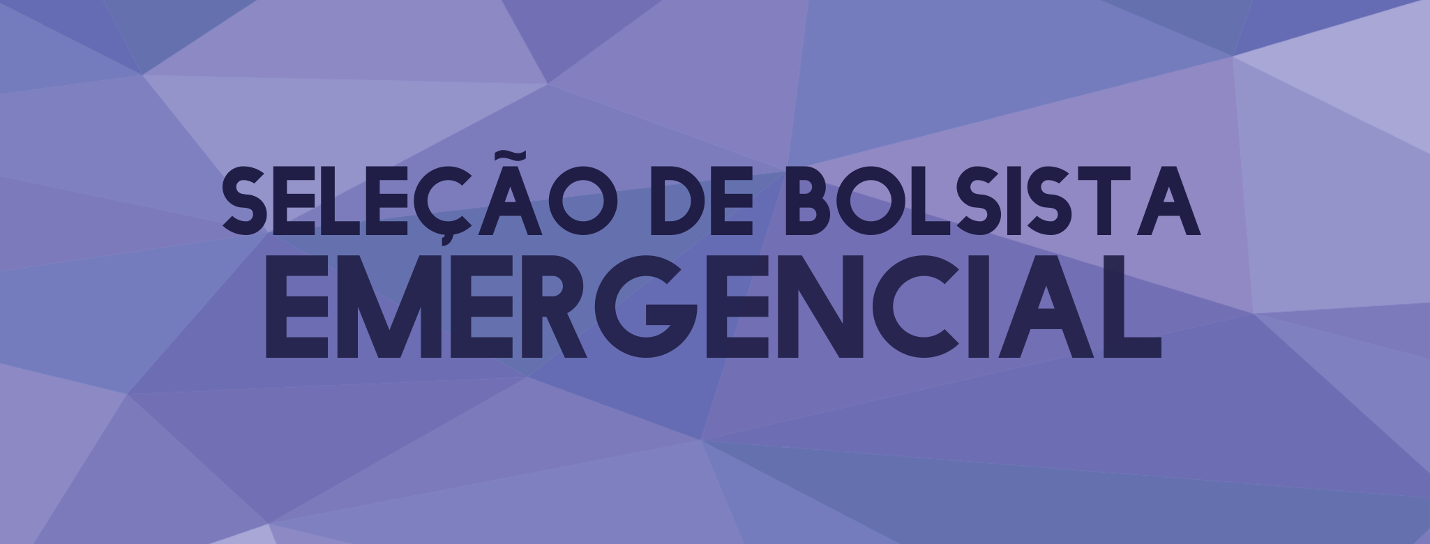 EDITAL 05/2019/IEG/CFH Seleção Bolsa Emergencial